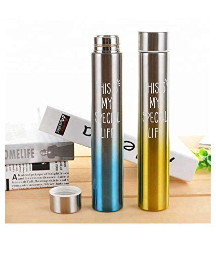 310ml Stainless Steel Water Bottle