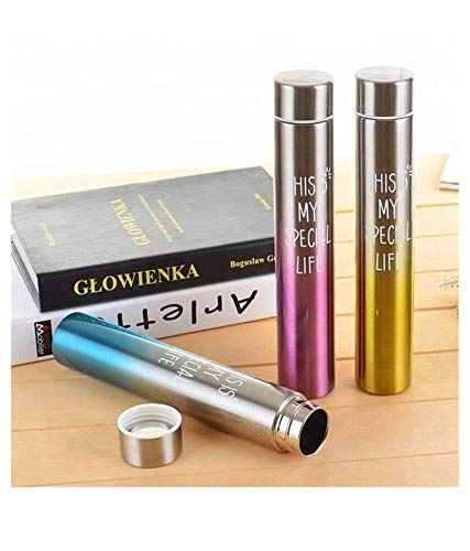 310ml Stainless Steel Water Bottle