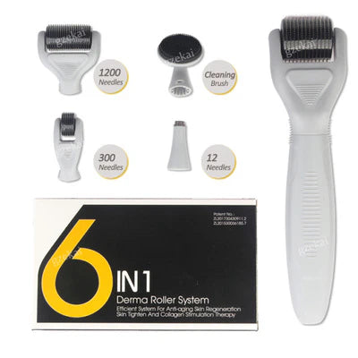 6 in 1 Derma Roller