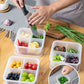 1pc PP Food Storage Box, Minimalist Fresh-keeping Food Storage Box For Kitchen