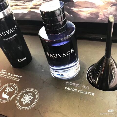 Dior Sauvage Perfume 100Ml