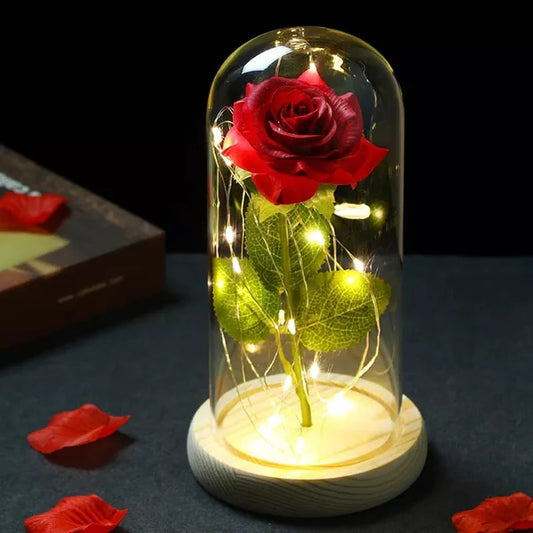 Rose LED Light With Glass Cover